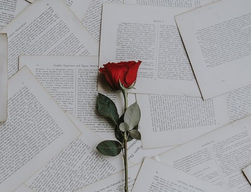 Μικροί συγγραφείς: Ο μάγος και το τριαντάφυλλο